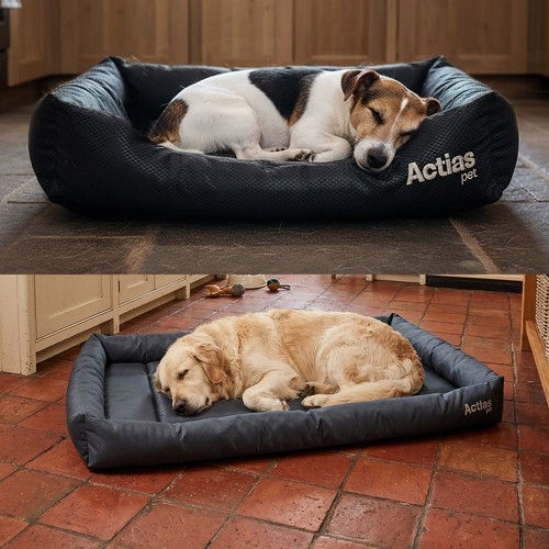 Dog cage bed - dog,