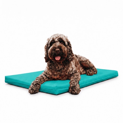Maximum pet products tough - products, 2"