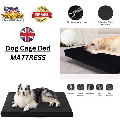 Orthopedic dog bed - orthopedic, large