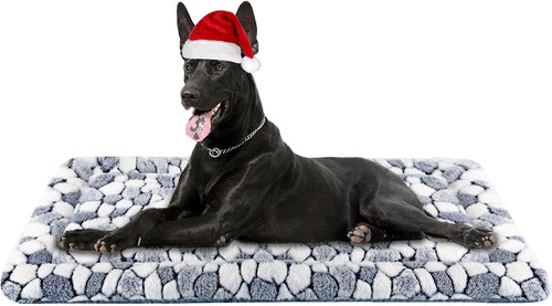 Stylish dog crate - crate, mat