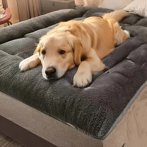 Dog bed soft - bed, cushion