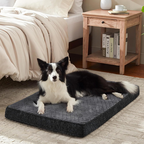 Orthopedic dog beds - orthopedic, large