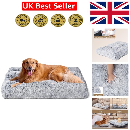 Cozy non slip dog crate - dog, mat