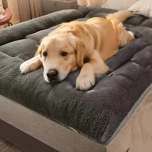 Dog bed soft - dog,