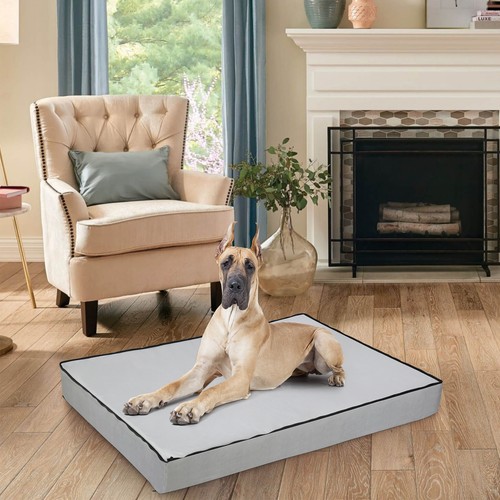 Bingopaw large dog - large, bed