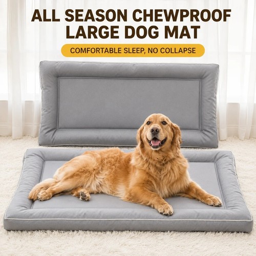 Chew proof large - proof, mat