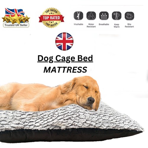 Large fluffy plush dog - fluffy, bed