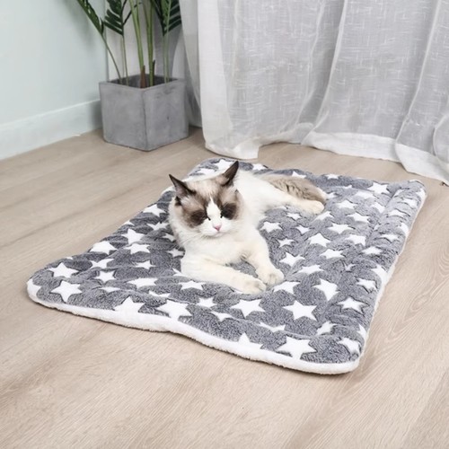 Puppy pet home - puppy,