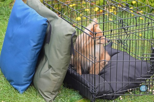 Waterproof dog crate mat - crate,