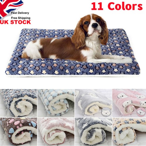 Puppy pet home - pet, blanket