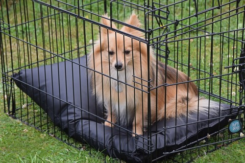 Waterproof wipe clean crate - clean,