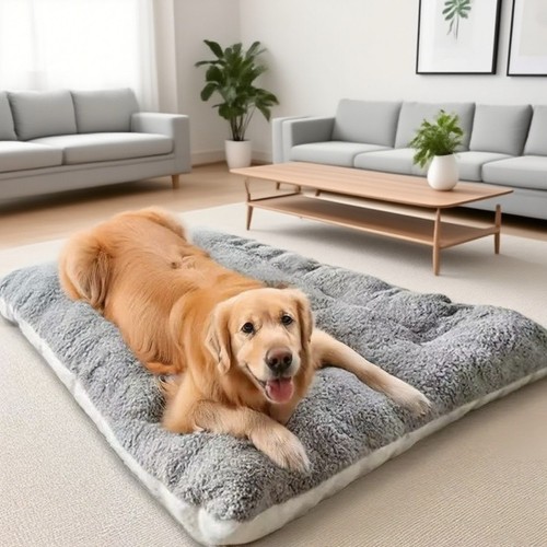Large plush dog - bed, sofa