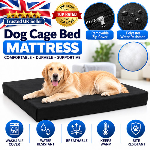 Orthopedic dog bed large - orthopedic, bed,