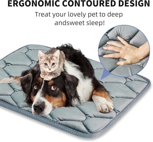 Geegoos large orthopedic dog - orthopedic,